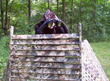 Hunting Blind