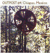 Chiapas hut