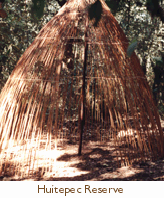 Chiapas hut
