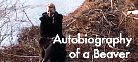 The Autobiography of a Beaver