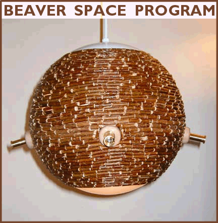 http://www.groupc.org/beaverspace_overview.gif