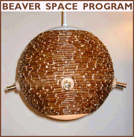 Beaver Space Program