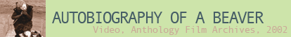 The Autobiography of a Beaver