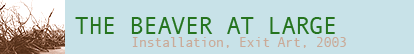 The Beaver at Large