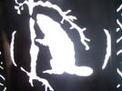 Animal Shrine detail